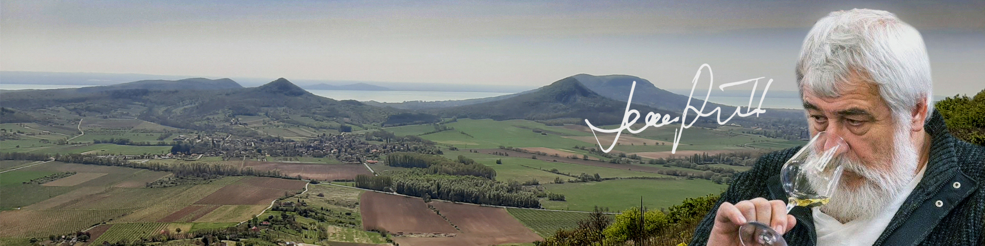 new_slider_4
